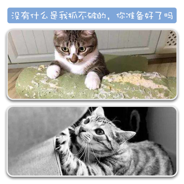 Anti-cat scratching cat sofa protector cat claw sticker thickened anti-scratch anti-cat scratching cat scratching sticker protection furniture cat scratching board