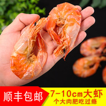 Wenzhou specialty grilled shrimp dried 500g ready-to-eat large shrimp extra dried shrimp dried shrimp seafood dried shrimp seafood