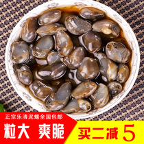 Instant mud snail big crisp Yueqing special product Jinwei fresh mud snail drunk yellow mud snail 220g seafood aquatic Rice Rice