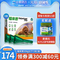 In Vitro Deworming for Dogs Flea Pills for Dogs Flea Drops for Pets Teddy Flaine