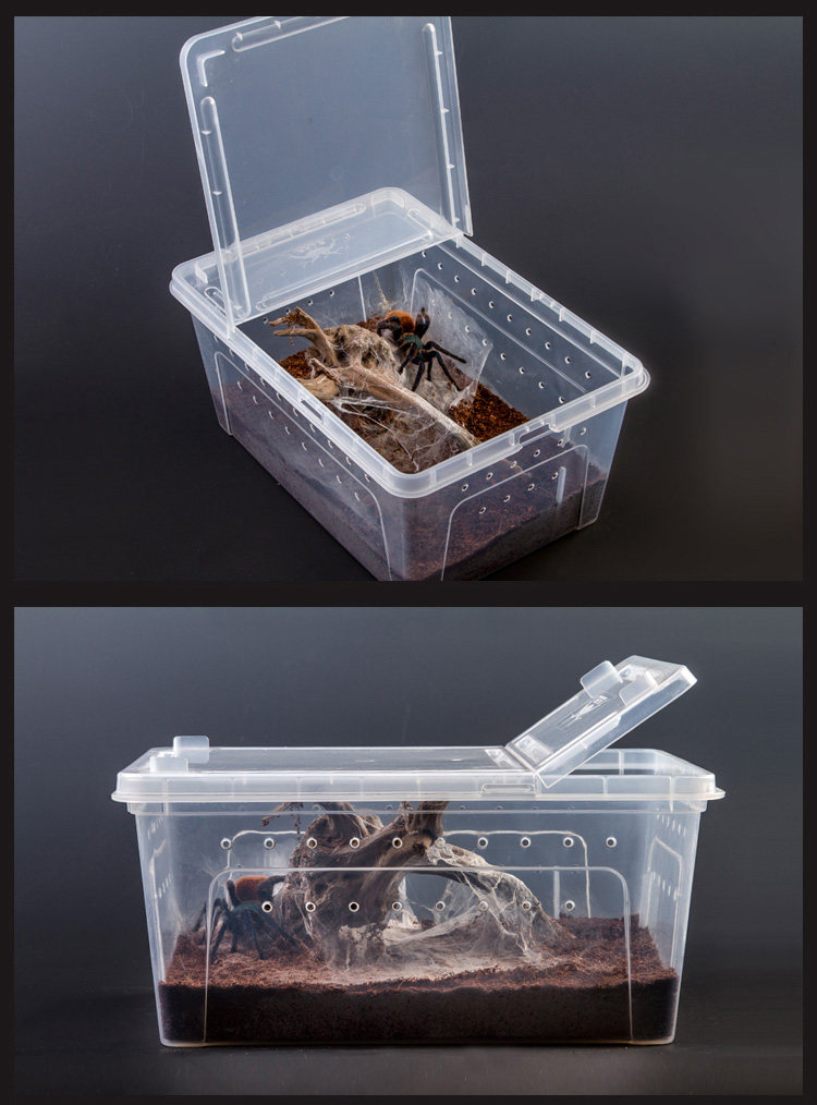 爬虫饲养盒蜘蛛角蛙蜗牛仓鼠守宫爬宠箱乌龟缸寄居蟹饲养缸人渣盒