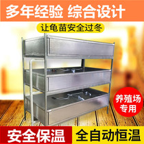 Safety incubator household raising small tortoise Golden Turtle seedlings special cylinder breeding professional plastic turtle pond turtle tortoise