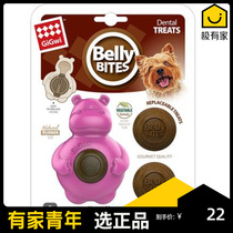 GiGwi expensive for dog grinding toy bear toy resistant to bite replacement for rubber pet grinding snack cake