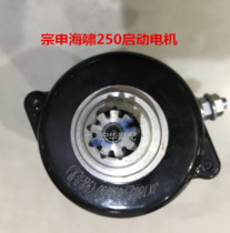 Lungin V5 Futian Levo 250 cases of Shen Tsunami Defendant 200 250 300 electric motor start motor