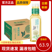 Farmer Mountain Springs Oriental Leaves Jasmine Tea 500ml * 15 Bottled One Whole Box No Sugary tea polyphenols small