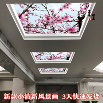 3d three-dimensional peach blossom landscape ceiling art glass decorative aisle corridor living room simple transparent glass ceiling