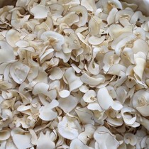 Sea bottom coconut slices 500g sulfur-free dry goods primary color yellowish flavor strong stew ingredients 1kg