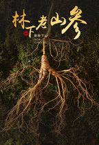 Changbai Mountain Forest Ginseng Now Dig with Soil Wild Ginseng Fresh Ginseng