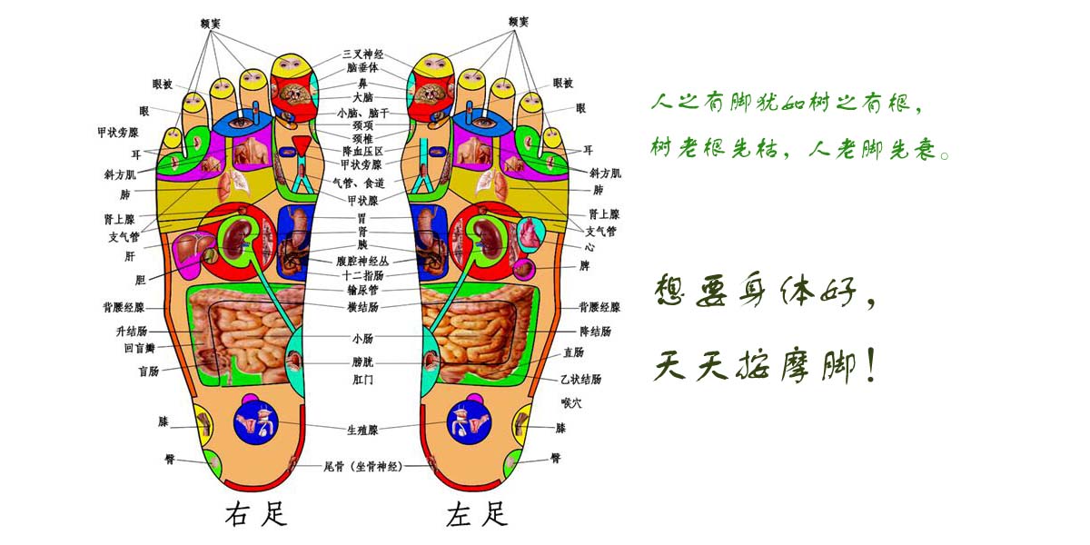 排出肾脏毒素,脚底这个位置一定要摁!