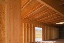 Guizhou Yuanfang Shuangshi Wood Waterproof osb Fireproof B1 European Song Board No Mold and No Mold 9mm Structural Panel USA