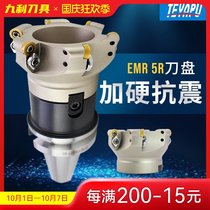 BT tool handle R5 milling cutter disc combination package: round angle knife plate milling cutter head BT30-50 set