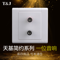 Tianji electrical audio socket panel simple series 86 type concealed two head speaker wall plug speaker interface