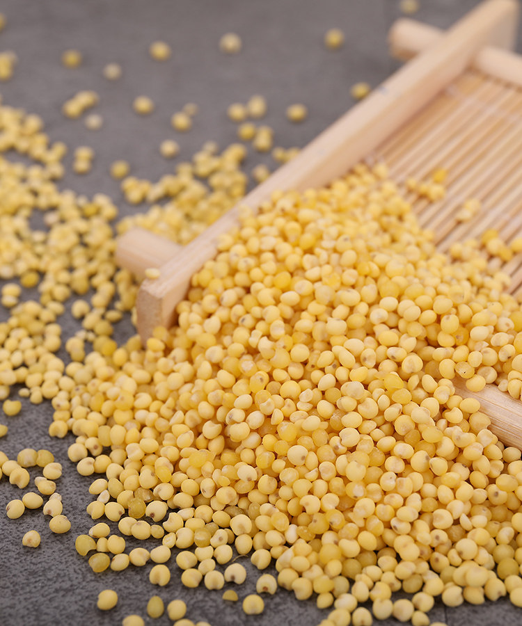 福米家 正宗东北大黄米粘黄米糯小米黍子米糜子米500g 粽子粘豆包_双