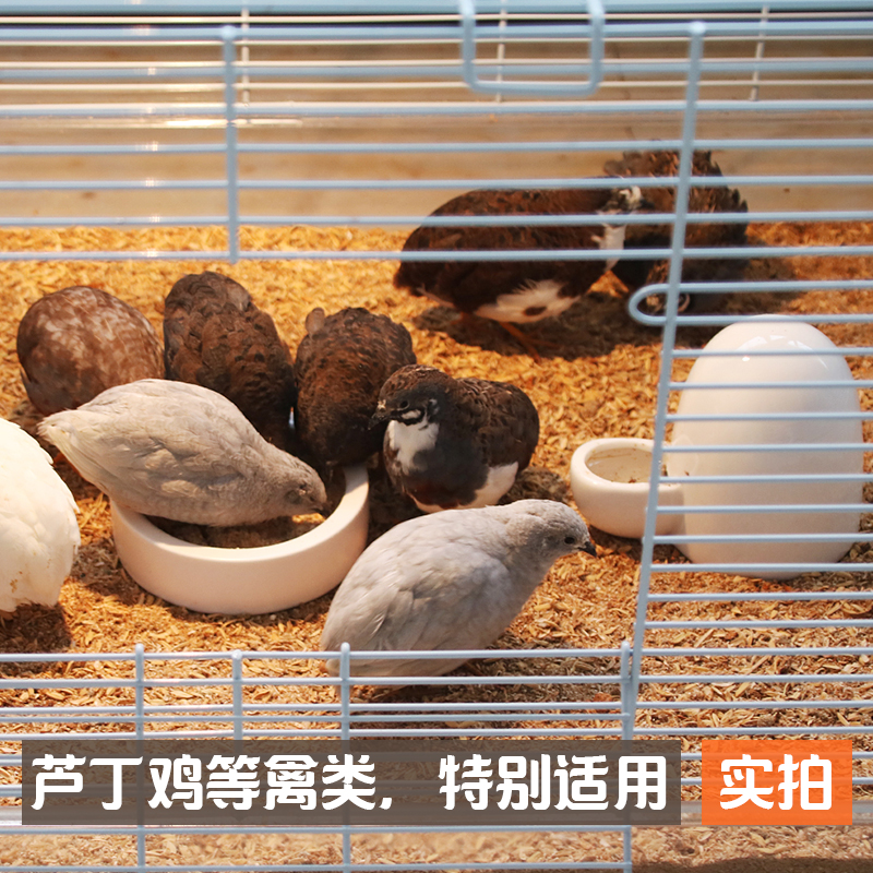 芦丁鸡发酵床小鸡活苗宠物木屑垫料除臭仓鼠兔子鸡鸭鹌鹑粪便分解