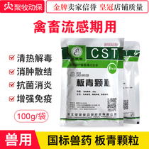 Banqing granules veterinary drugs antiviral pigs cattle sheep chickens ducks geese poultry respiratory tract flu swine ring poison blue ears