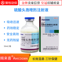 Veterinary drug cefquinome sulfate injection fourth generation cephalosporin pig cattle sheep dogs and cats antibacterial anti-inflammatory 50 ml 1