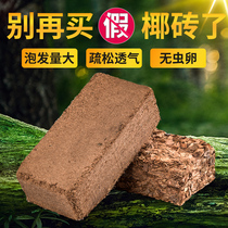Flower coconut brick nutrient soil universal imported coconut brick desalination coconut Bran bulk coarse coconut shell large sterile vegetable soil