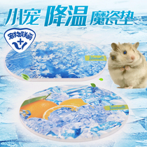 Small pet summer hamster cooling water absorbent porcelain pad golden bear hedgehog summer cooling cool porcelain pad honey bag glider ice pad