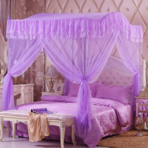 Single mosquito net light curtain yarn three doors thickened and heightened stainless steel bracket floor-to-ceiling palace-style princess arched mosquito net