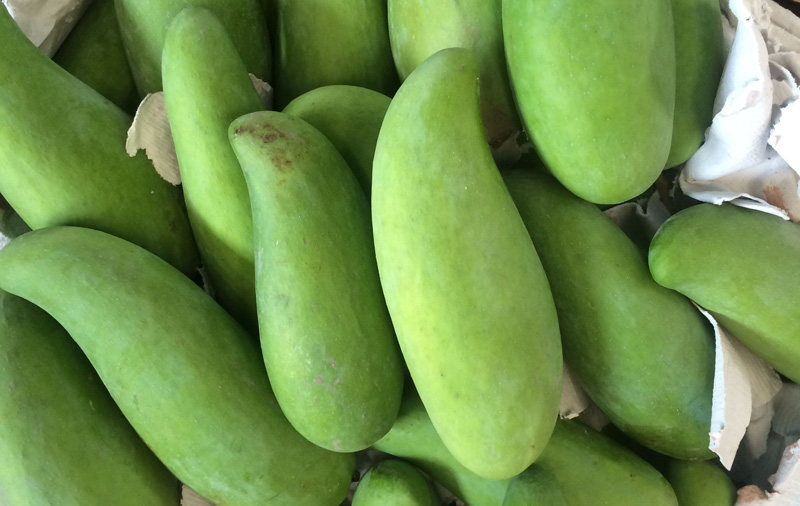 新鲜水果 生吃腌制酸甜象牙芒果 四季芒 生吃腰芒5斤包邮