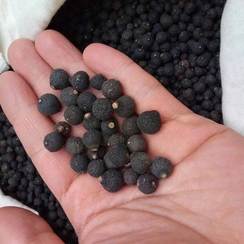 2018年生晒老树小柑胎正宗新会陈皮树摘小胎柑仔茶小青柑普茶500g