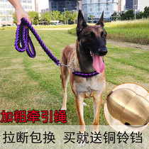 Dog traction rope medium large dog collar P-chain Golden Mao Horse dog with rough eight strands walking dog rope
