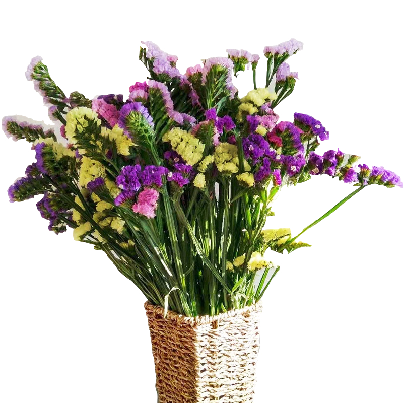 yunnan forget-me-not dried flower bouquet crystal lover grass