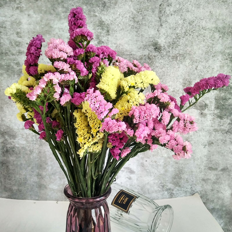 yunnan natural air-dried real flowers forget-me-not dried flower bouquets large dried flowers decorative ornaments home furnishings living room diy