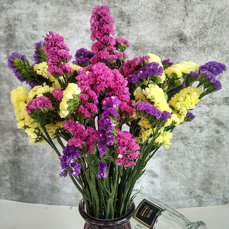 yunnan natural air-dried real flowers forget-me-not dried flower bouquets large dried flowers decorative ornaments home furnishings living room diy