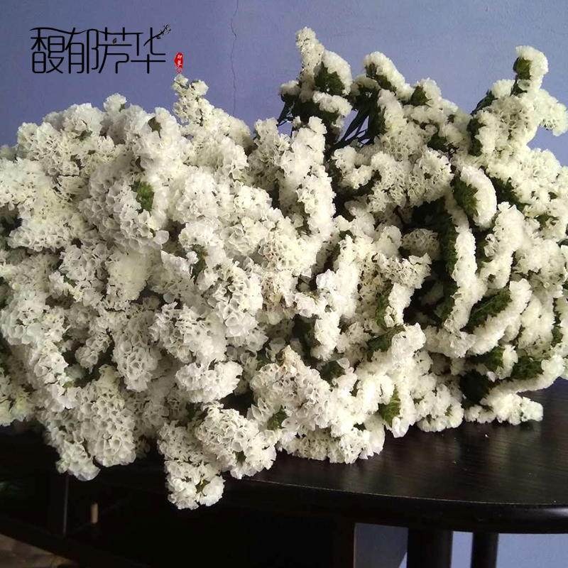 yunnan natural air-dried real flowers forget-me-not dried flower bouquets large dried flowers decorative ornaments home furnishings living room diy
