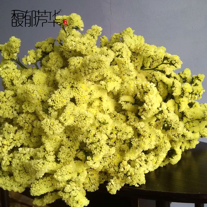 yunnan natural air-dried real flowers forget-me-not dried flower bouquets large dried flowers decorative ornaments home furnishings living room diy