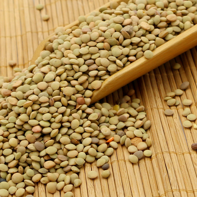 西北特产宁夏西海固扁豆子五谷杂粮健康粗杂粮小扁豆兵豆500g*3袋