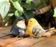 Creative home living room decoration flower garden garden cute gift simulation bird resin animal decoration Creative home living room decoration flower garden garden cute gift simulation bird resin animal decoration