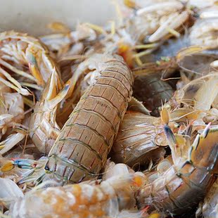 庆双旦 生鲜水产 海鲜季 野生进口 新鲜活虾爬子 500g 顺丰配送
