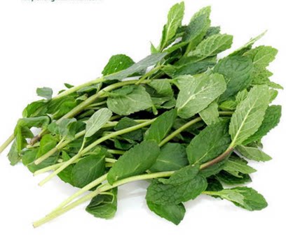 汇鲜蔬果 新鲜薄荷叶 香料 留兰香 装饰泡水 调酒西餐100g