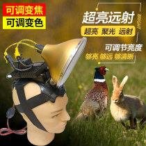 Hernia Head Light Intense Light Super Bright Adjustable Focusing Discoloration Outdoor Hunting Spotlight Wearing Style Night Fishing Big Spot Xenon lamp