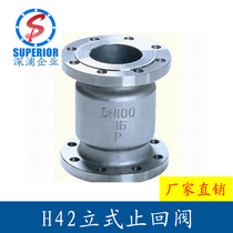 304 stainless steel check valve H42W-16P sewer pipe one-way valve flange vertical check valve DN80DN100