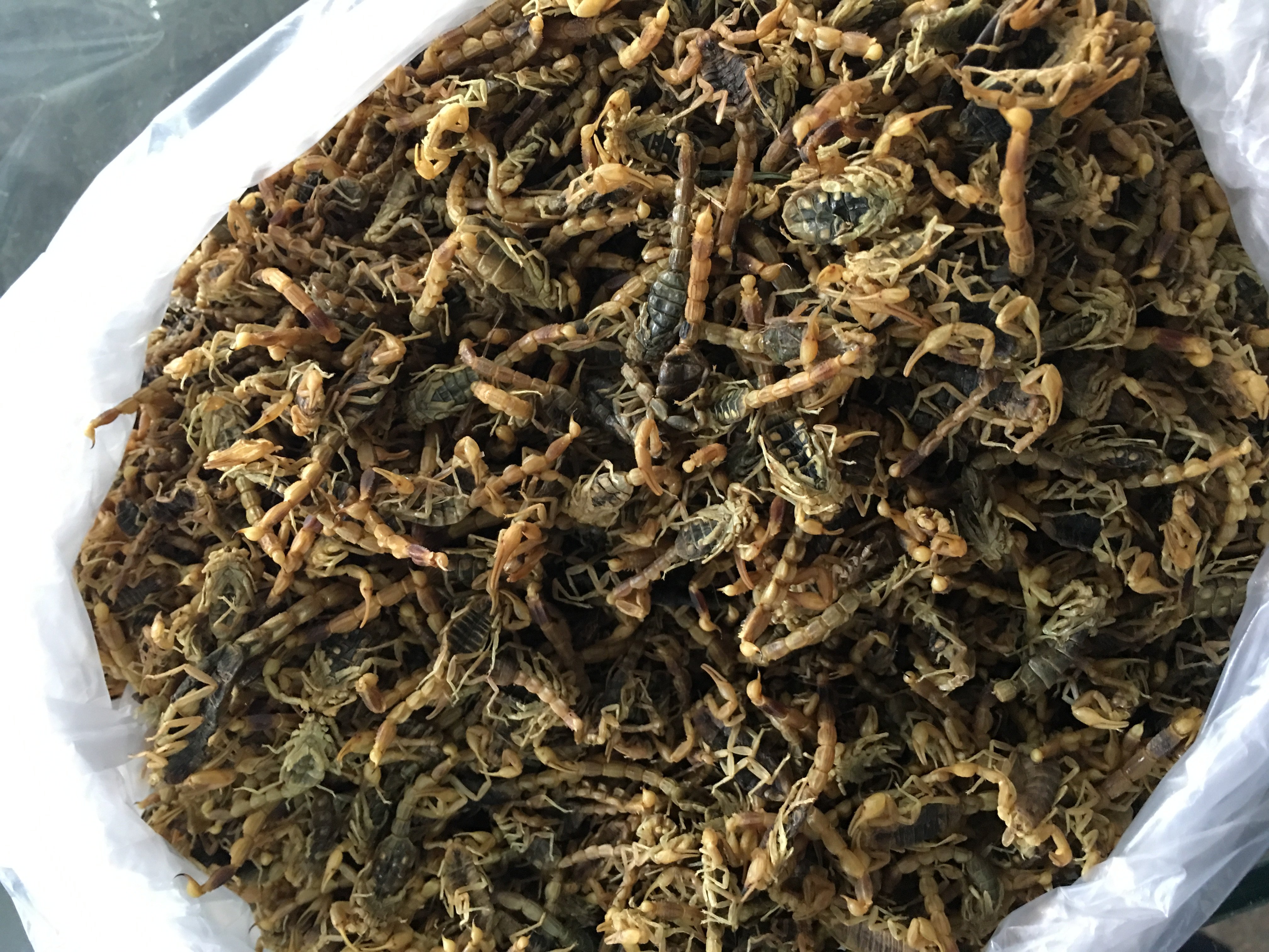 全蝎100克220元 全干 全蝎 全虫 无肚无盐 蝎子干 包邮