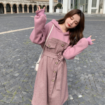 Pink Lian Dress Woman 2021 Winter new French style first love collection waist display slim and small sub-plaid Daughter Skirt