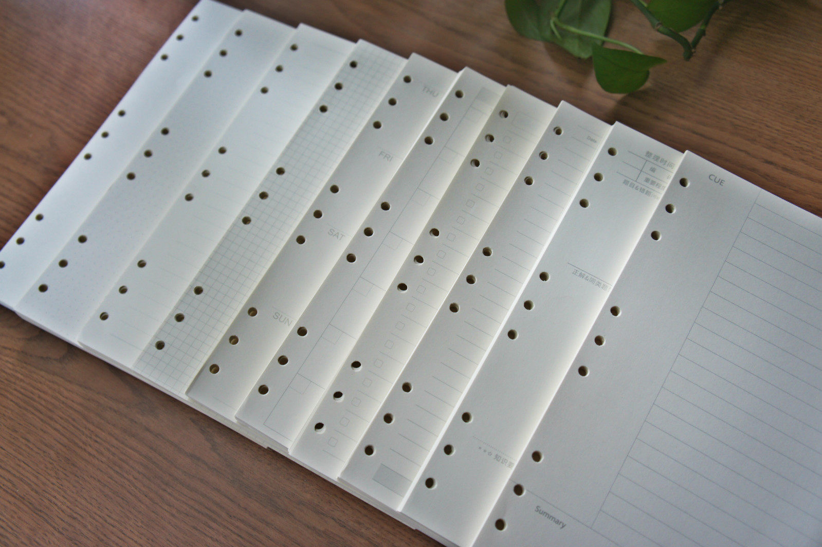 愿画〕b5九孔活页本替芯内页活页笔记本横线网格空白康奈尔10款