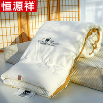 Hengyuan Xiang Soybean Fiber Quilt All Season Universal Summer Air Conditioning by summer quilt Winter quilted by the core quilted bedding