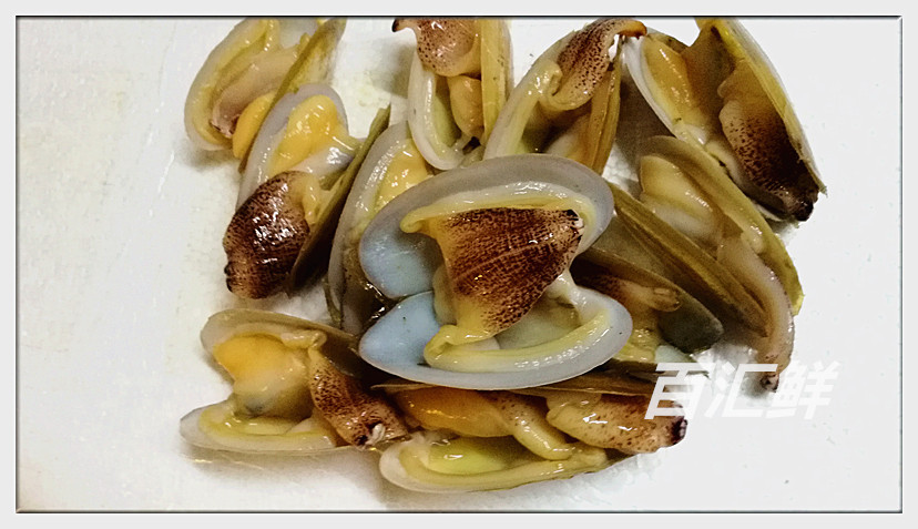 【北海珍珠蚌】海鲜鲜活水产象拔蚌仔蚌蛤赤鲜小象鼻蚌 火锅铁板_双氙