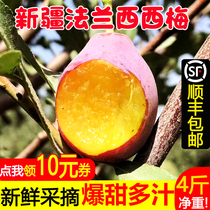 Xinjiang West Plum Fruit Fresh Pregnant Women Domestic Plums Kashgar France West Plum 4 Jin wins California West Plum