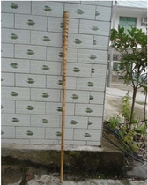 Large straight grip multi-grain Arhat Bamboo Buddha belly Bamboo cane Crutches large with roots Natural environmental protection original ecological bamboo dense joints