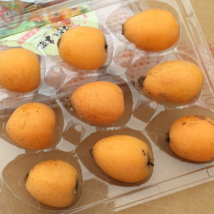 枇杷 四川鲜枇杷 约250g 9颗 新鲜水果 枇杷果 琵琶