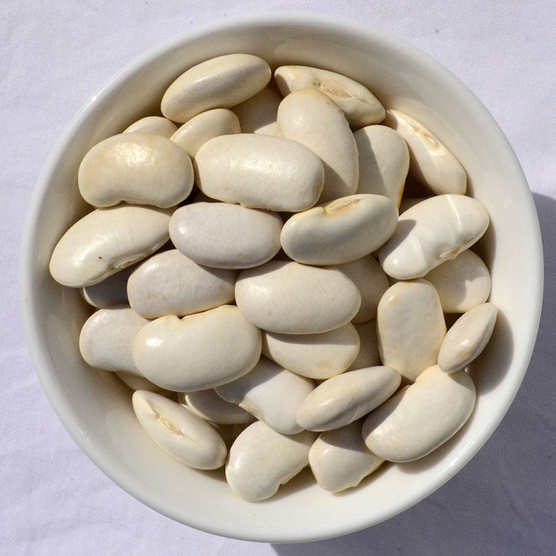 2016年农家新货大白芸豆炒菜煮粥四季豆大白豆京豆白腰豆煲汤 450