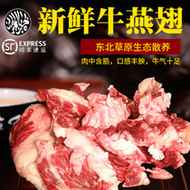 Qiqihar beef beef Yan wing barbecue Qiqihar barbecue Northeast barbecue Yan wing halal SF