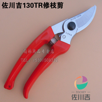 Taiwan Sagawa Ki 130TR pruning shears bonsai scissors fruit tree seedlings gardening fruit picking garden hand scissors Mulberry scissors