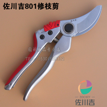 Taiwan Sagawa Ji 801 pruning shears horticultural shears tree cutting branches garden scissors hand scissors