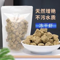 Freeze-dried plentiful shrimp pieces dry adult free hatching fish food Lampfish Colorful fairy tropical fish Guppy feed